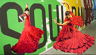 Corsi di Flamenco